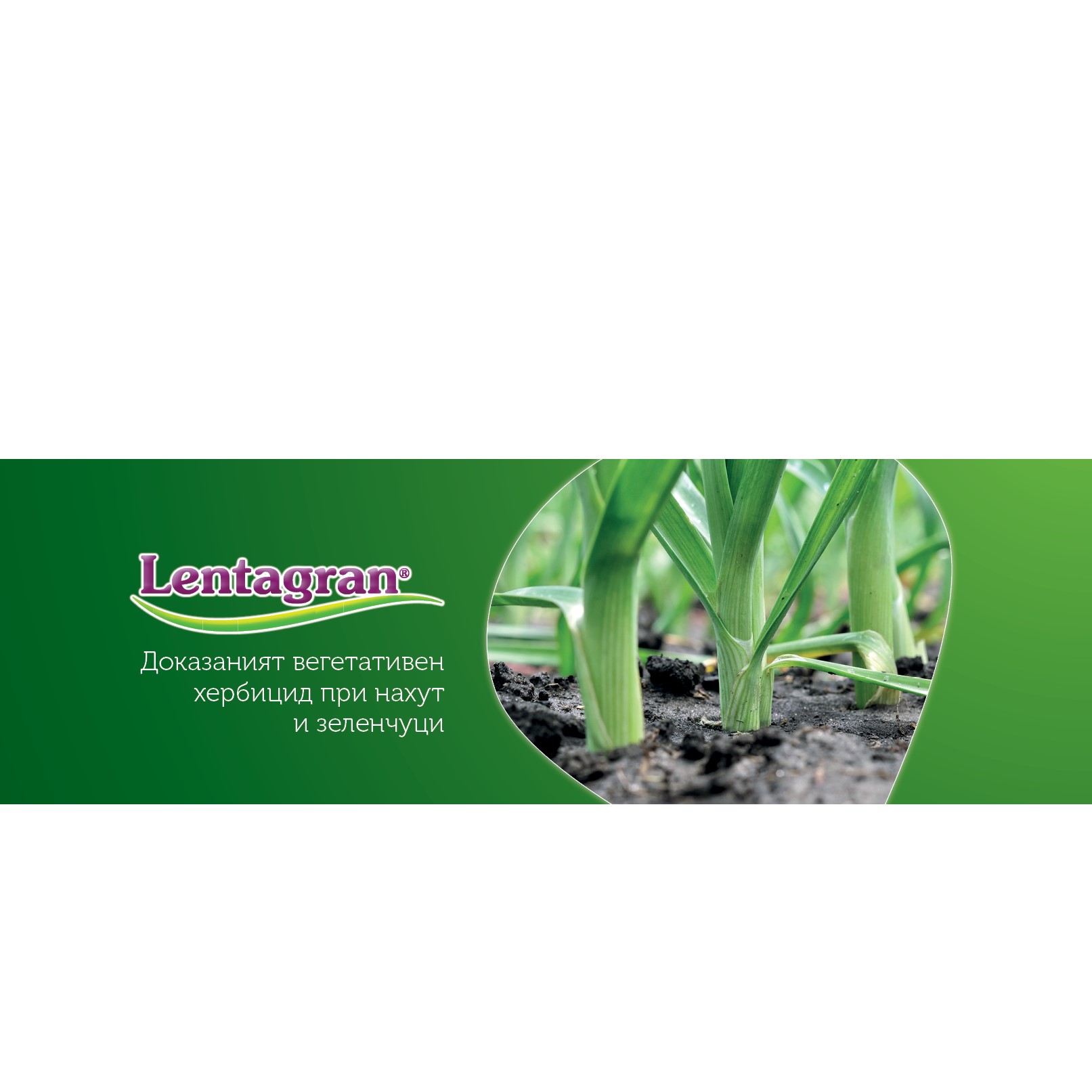 Lentagran_Fullbanner