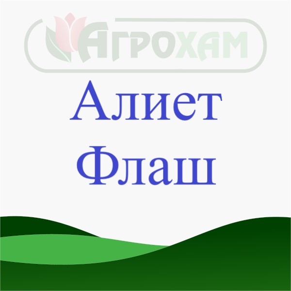 алиет