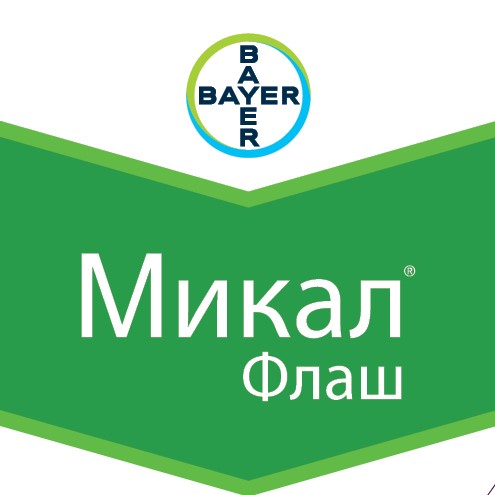микал